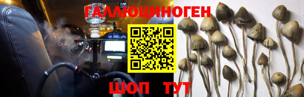 Галлюциногенные грибы Magic Shrooms Лянтор